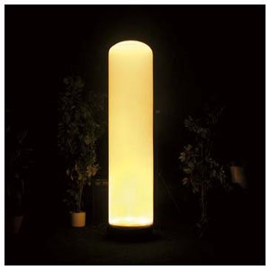  Cà?NE GONFLABLE À LED